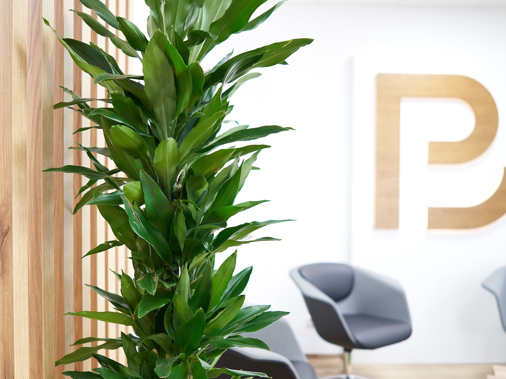 Räumlichkeiten Private Banking Raiffeisen Gunskirchen