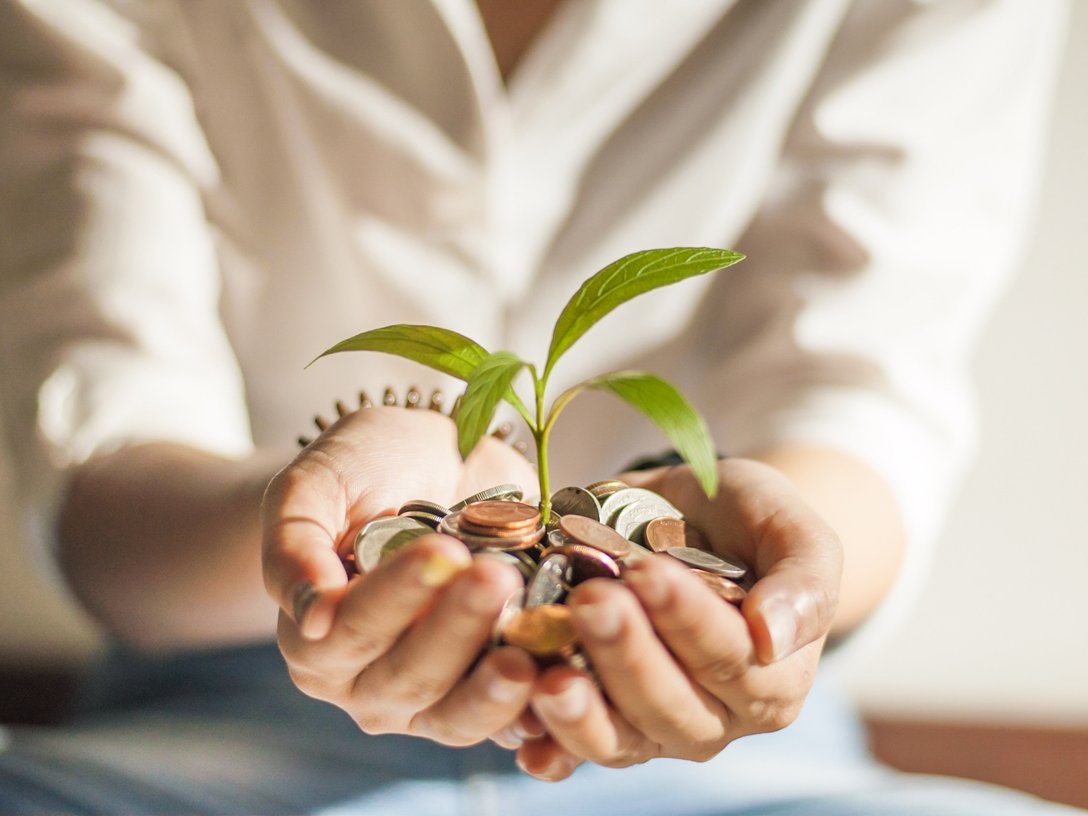 Nachhaltig Werte schaffen (Pflanze wächst aus Münzen)
